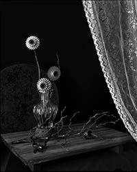 Richard Hyatt Andy Ruland Drought Flowers